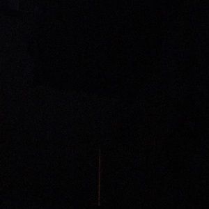 Meet your Posher, Brooklynn